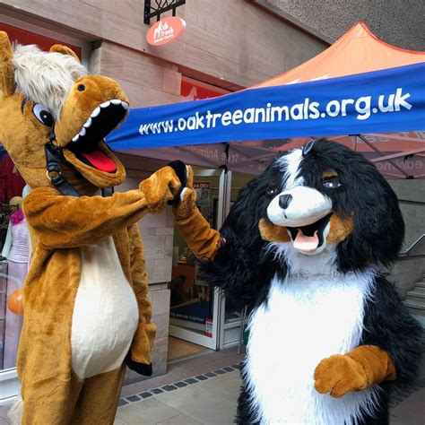 oak tree animals' charity carlisle